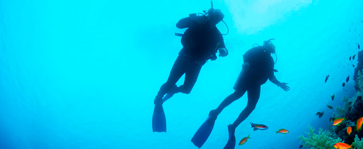 Dive in Belize