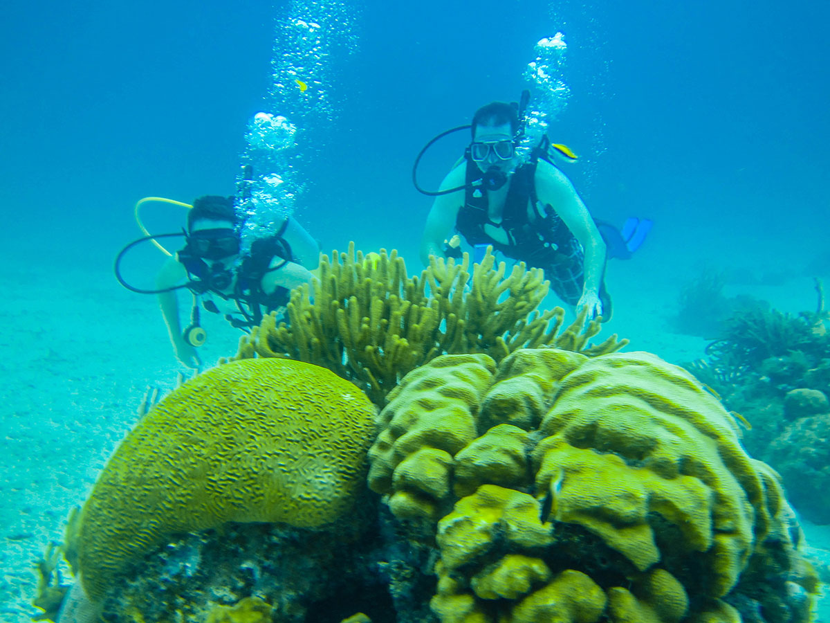 Hol Chan Ambergris Caye Diving
