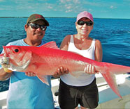 Red Snappers Belize Reef Fishing